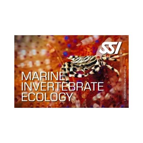 Picture of Marine Invertebrate Ecology