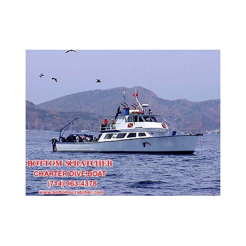 Bottom Scratcher Charter