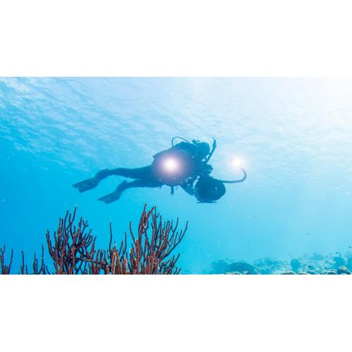 digital-underwater-photographer