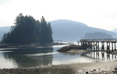 Grey Rock Deep Cove Fun Dive
