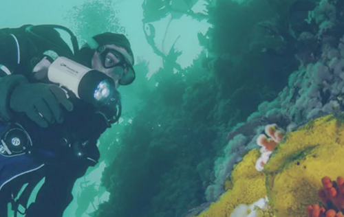 Open Water