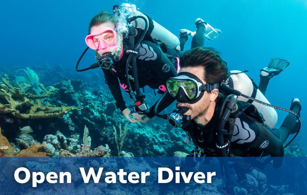 Scuba Certification