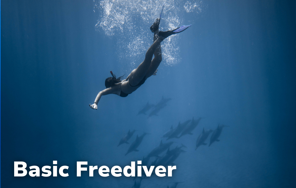 Basic Freediver