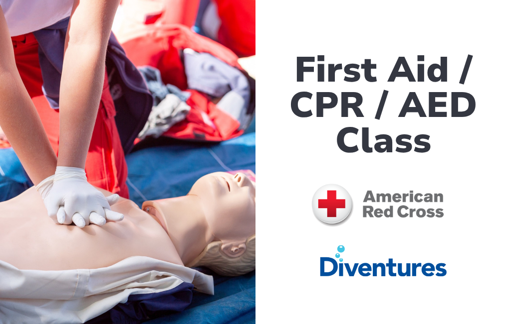 Adult and Pediatric First Aid/CPR/AED
