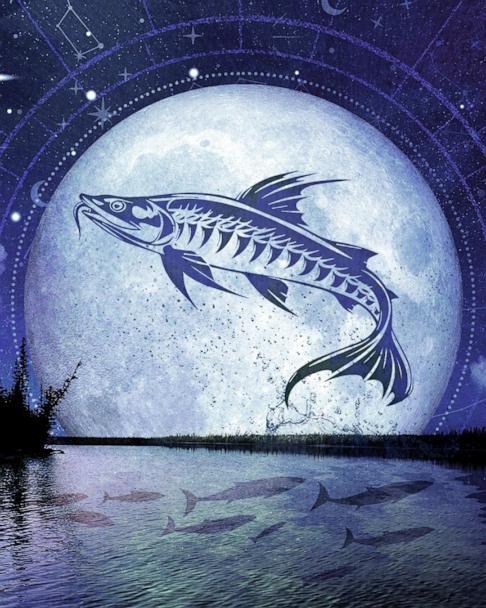 Sturgeon Moon Dive on the General Butler