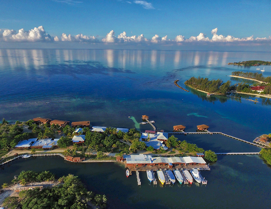 Roatan: CoCo View Dive Resort March 13-20, 2027