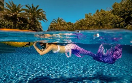 Discover Mermaid