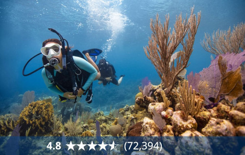 PADI Open Water Diver