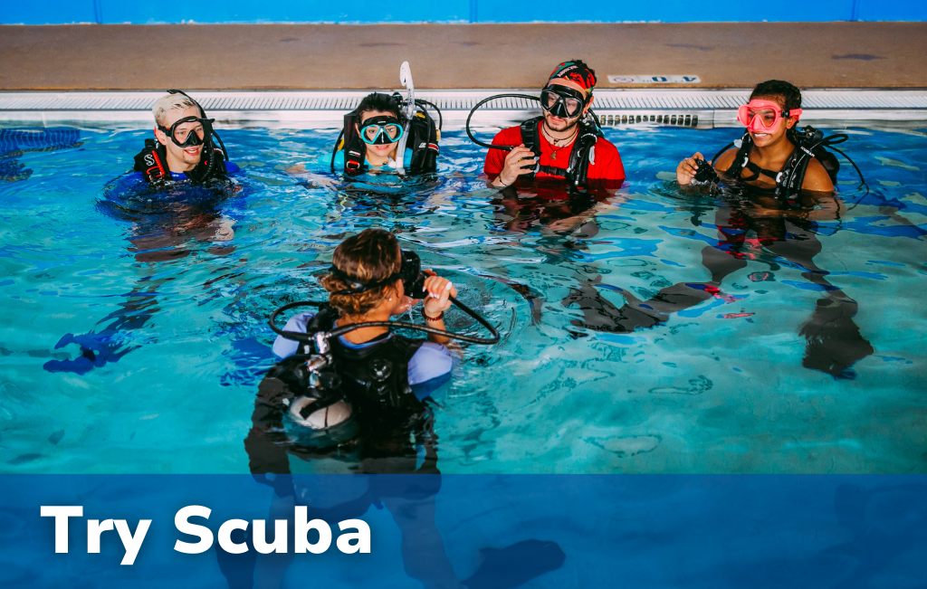 Try Scuba Try Scuba