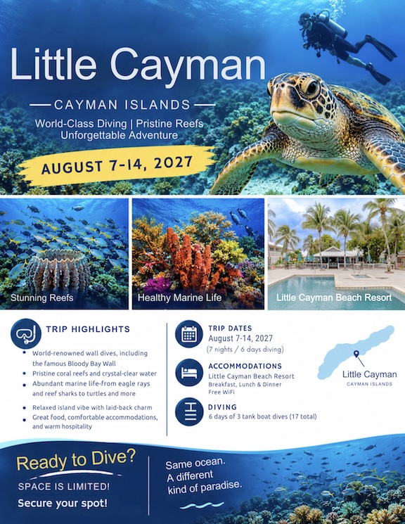Little Cayman 2027