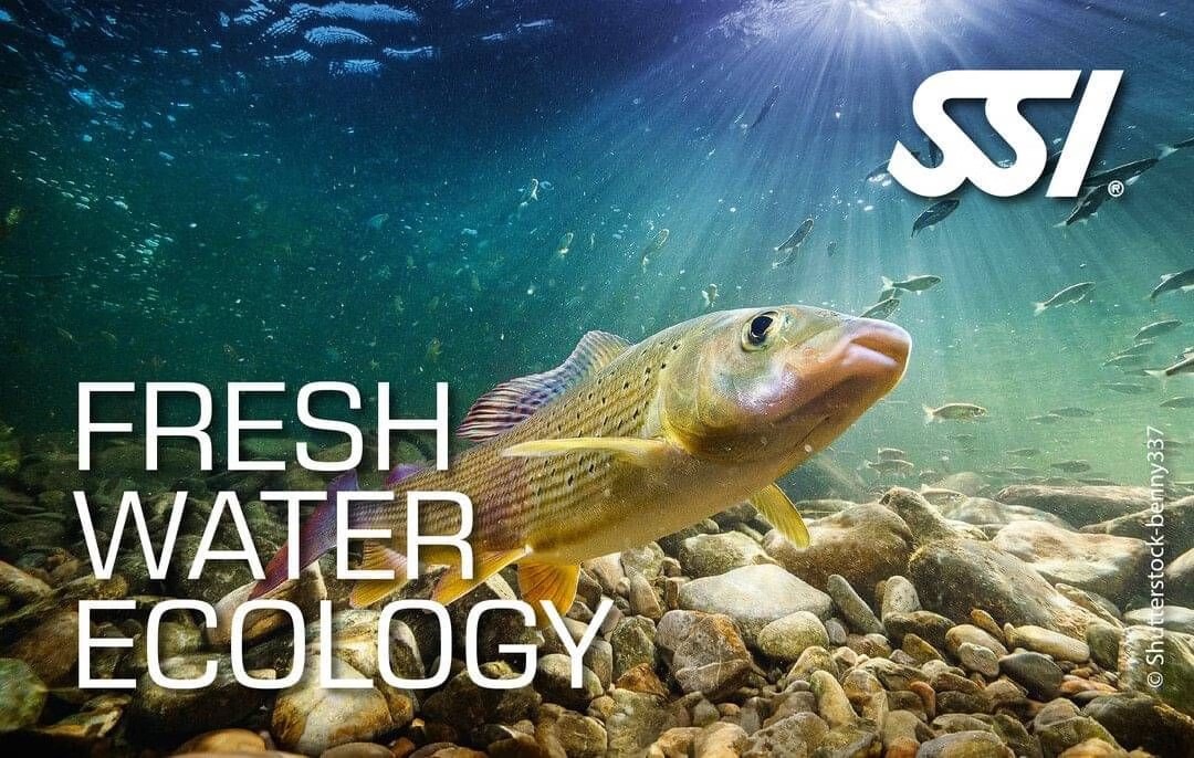 SSI FRESHWATER ECOLOGY