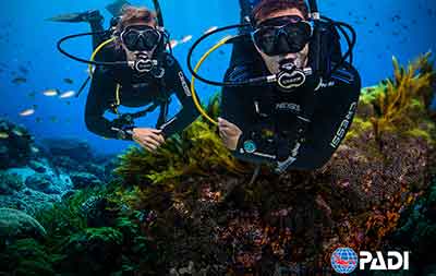 PADI ELEARNING COURSES