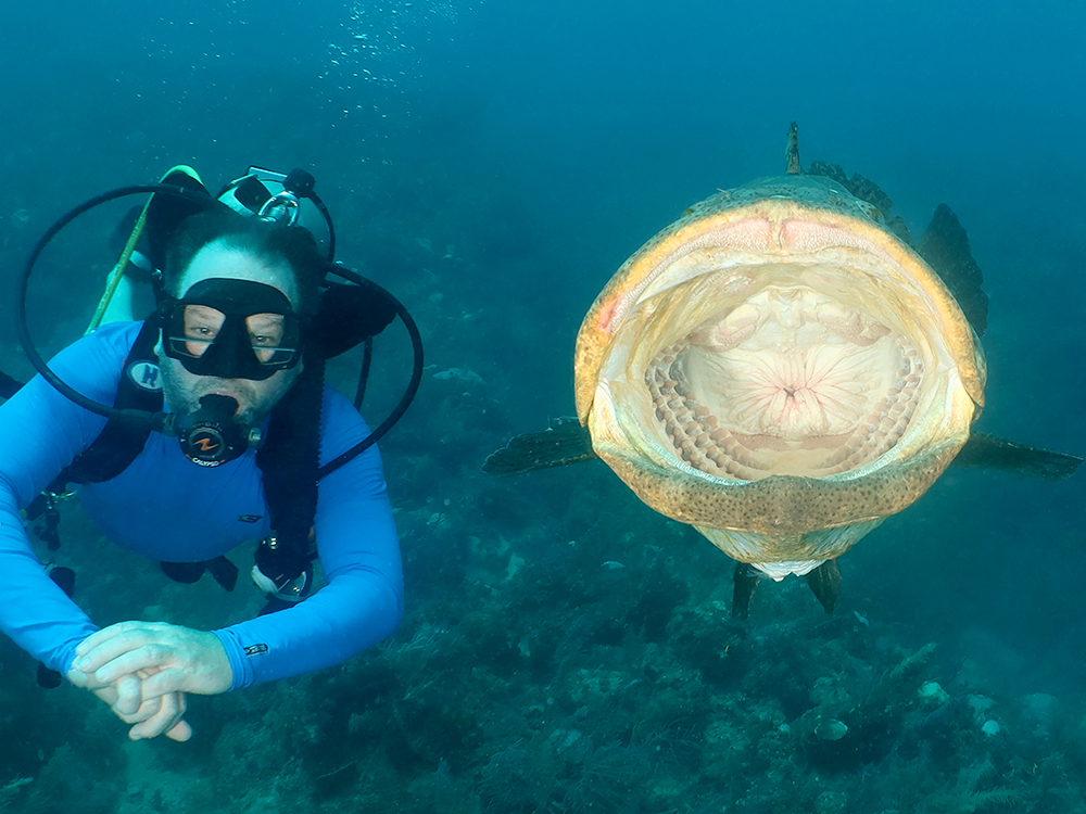 Cuba - December - 2027 Cuba - December - 2027