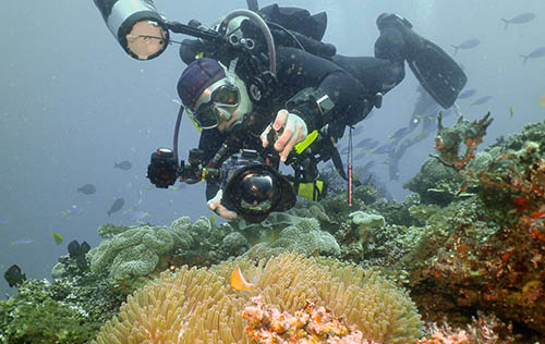Digital Underwater Photographer