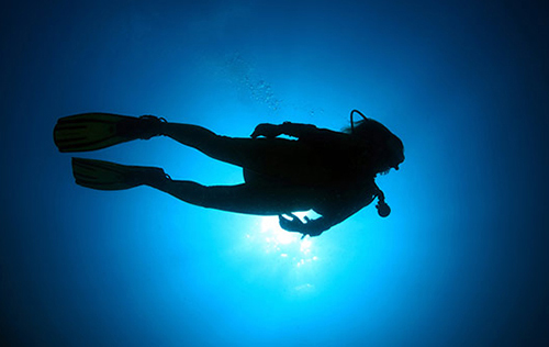 Solo Diver