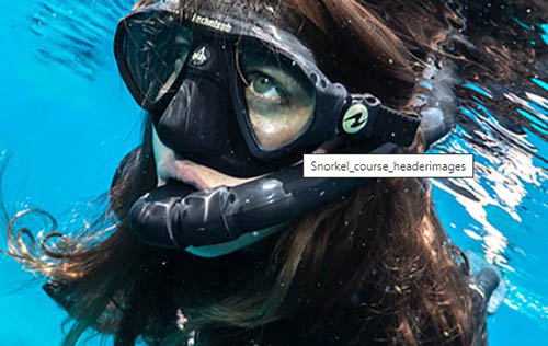 Snorkeler
