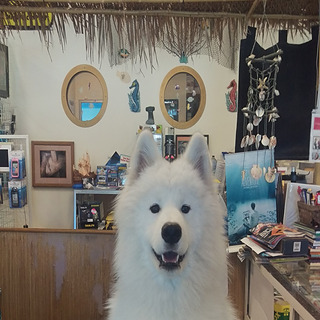 Moki