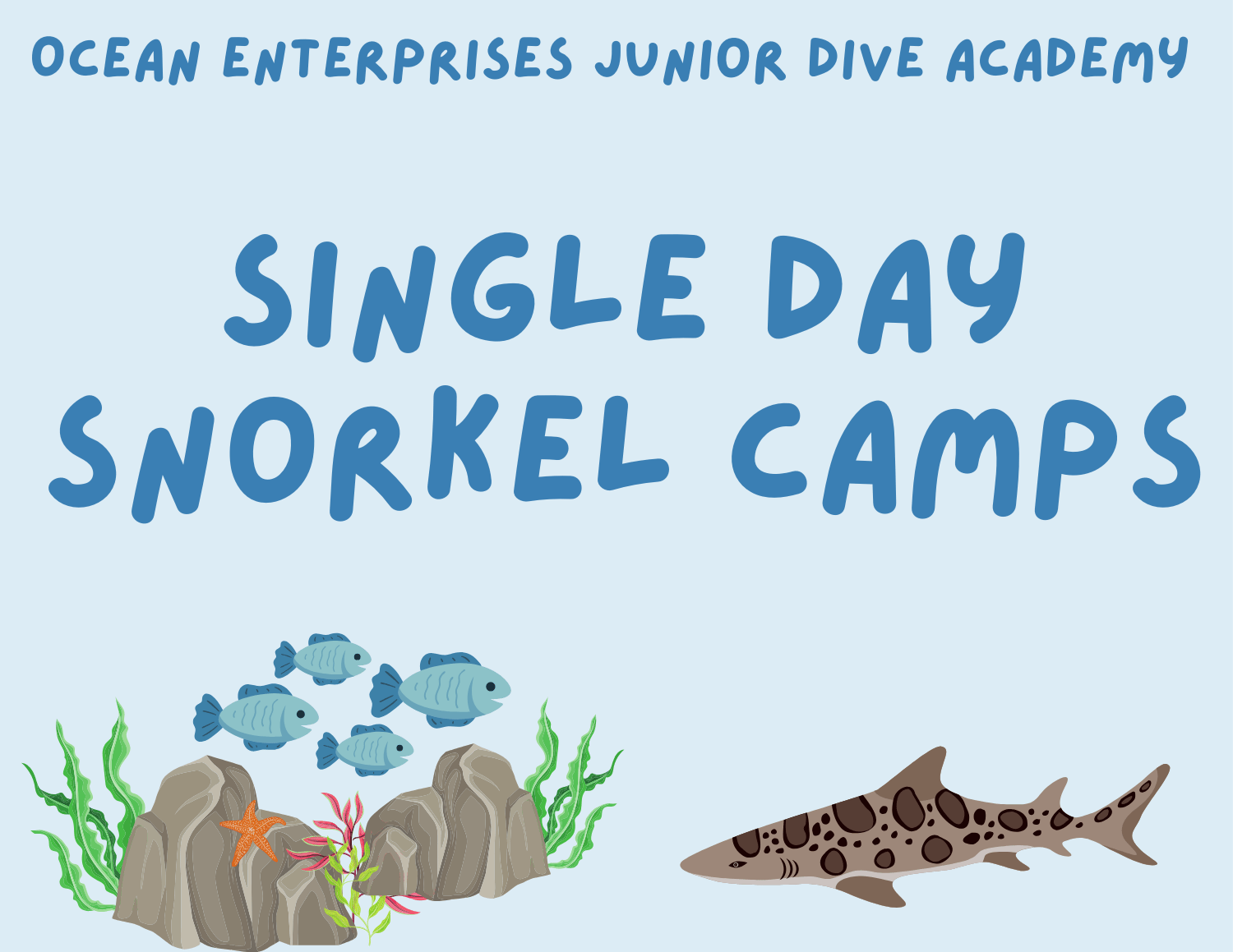 Snorkeling Camp
