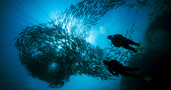 Master Scuba Diver Trainer