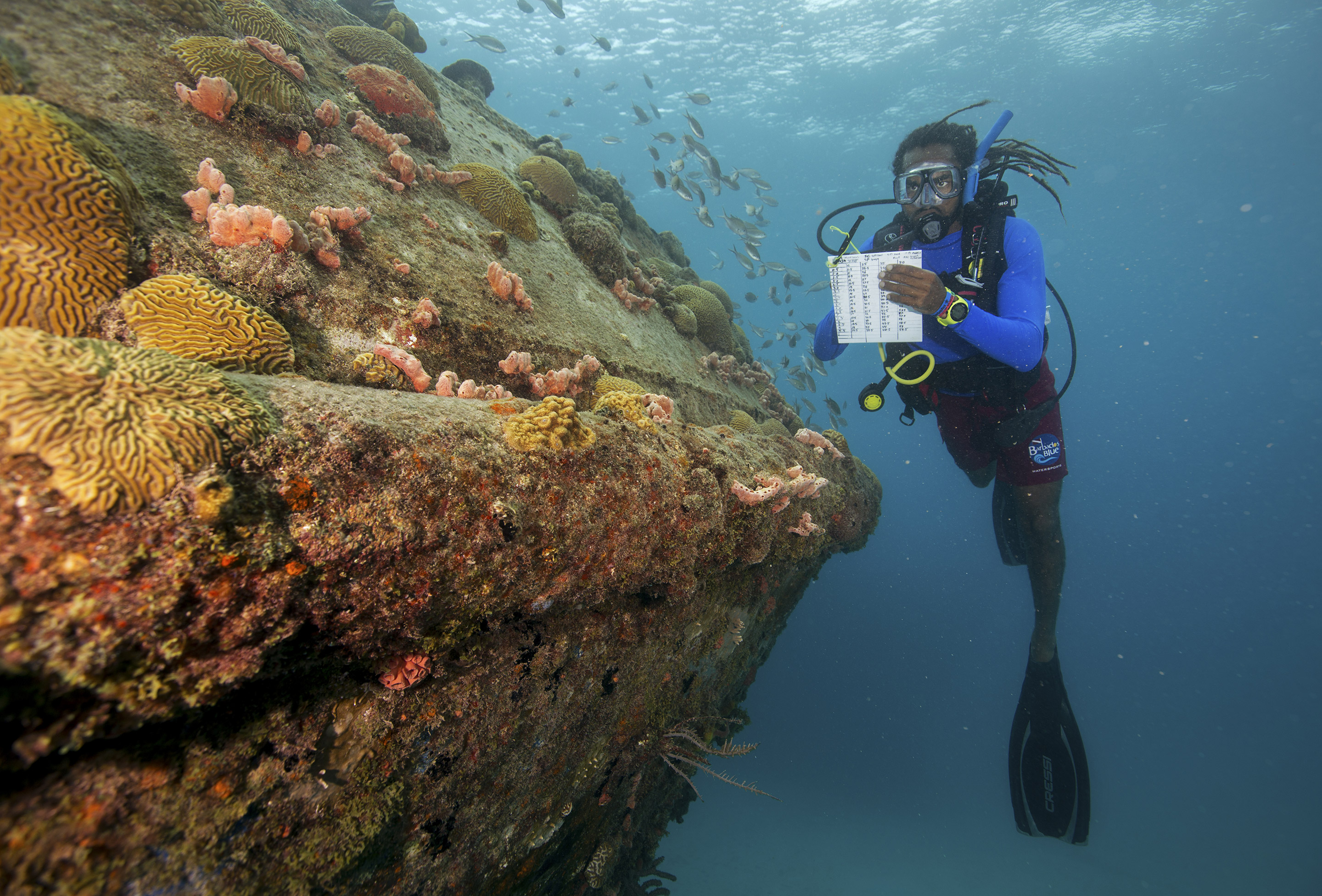 Citizen Science Diver