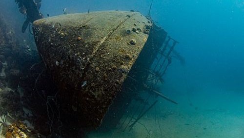 Plaza Resort, Bonaire July 18-26, 2026