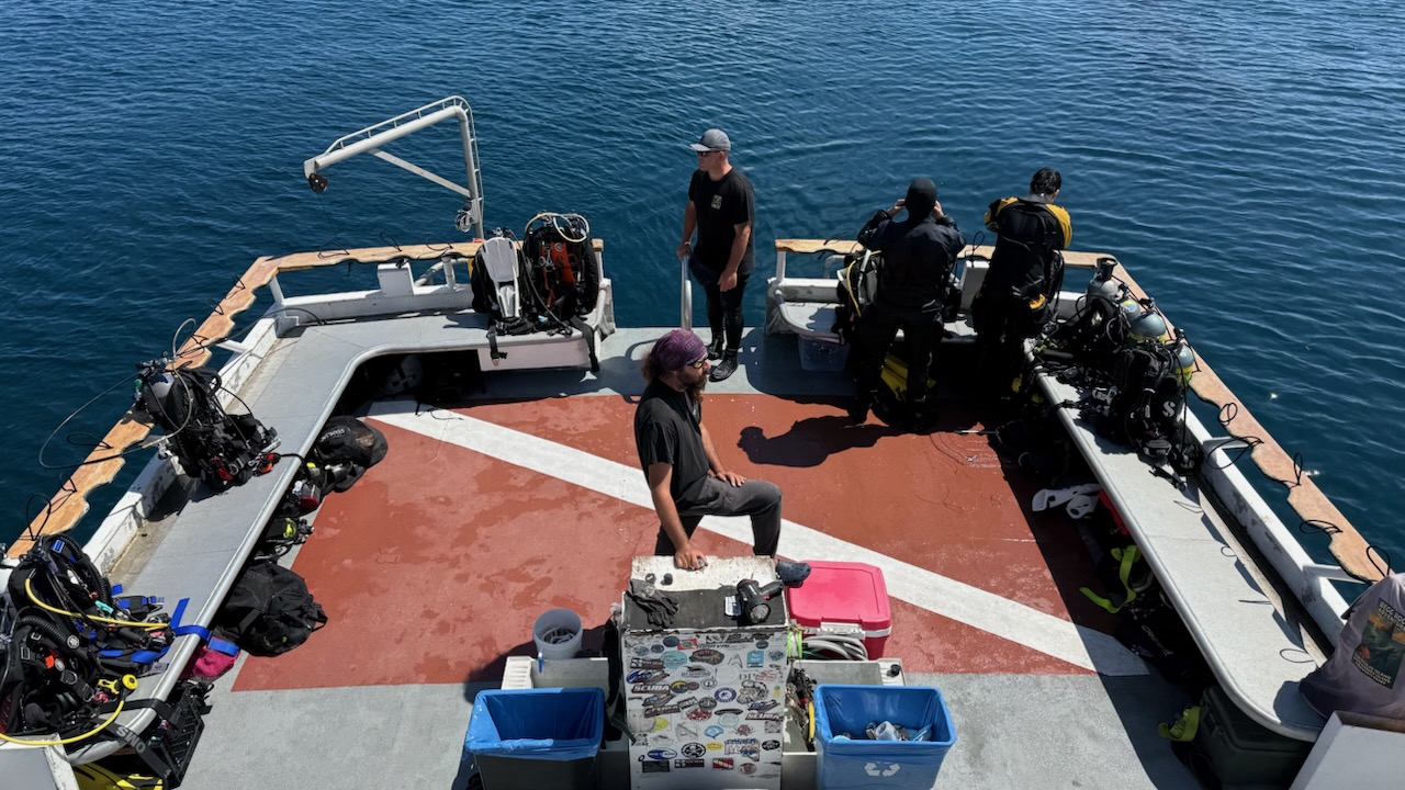 Catalina island Day Trip on the Pac Star Dec 20 2025 Catalina island Day Trip on the Pac Star Dec 20 2025