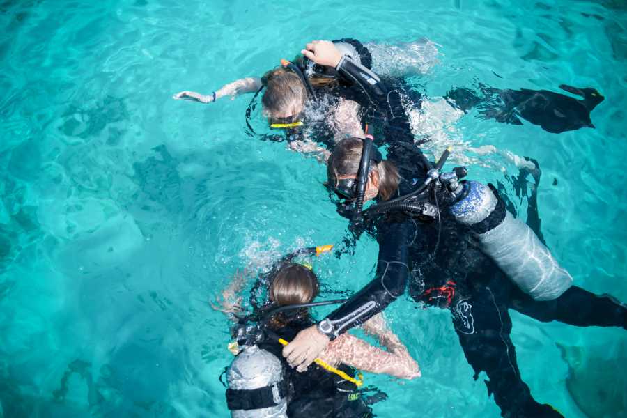 Discover Diving