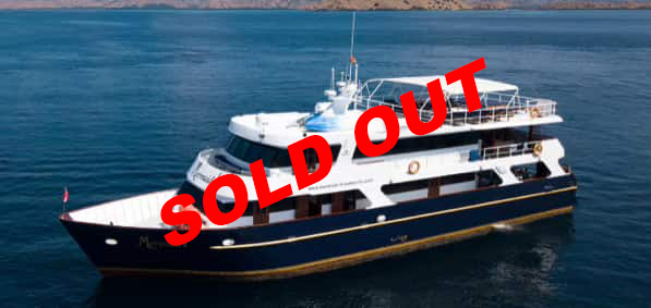 Bali-Komodo-Bali with Whale Sharks of Saleh Bay - July 2026