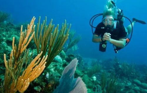 PADI Divemaster Course