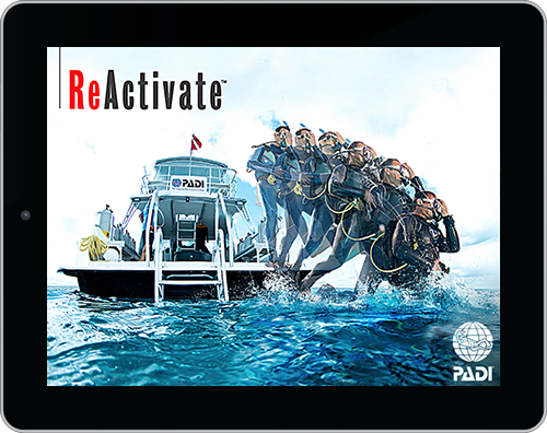 Re-Activate - Dive Shop Pool