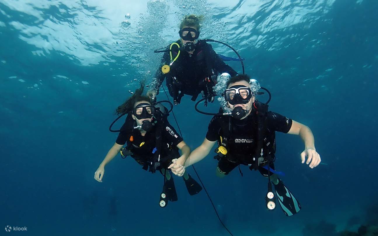 Discover Scuba Diving & Reactivate