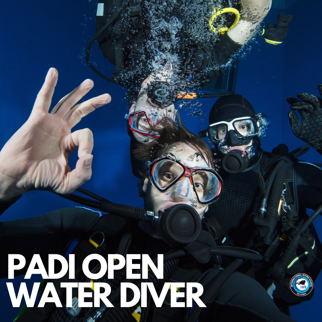 Open Water Diver