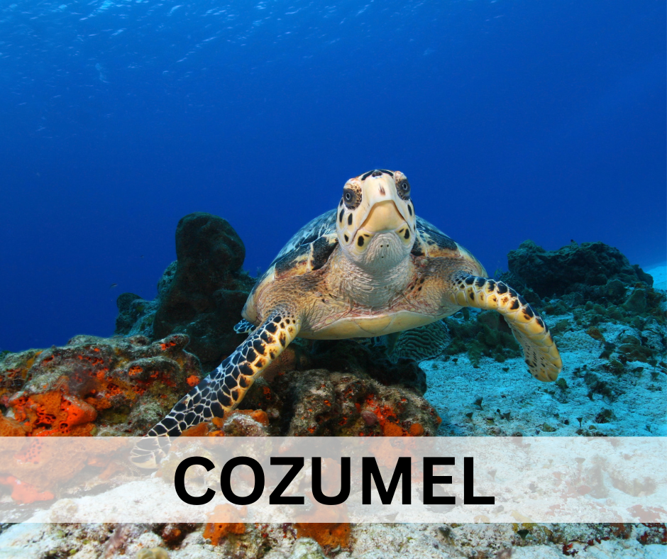 Cozumel 2027