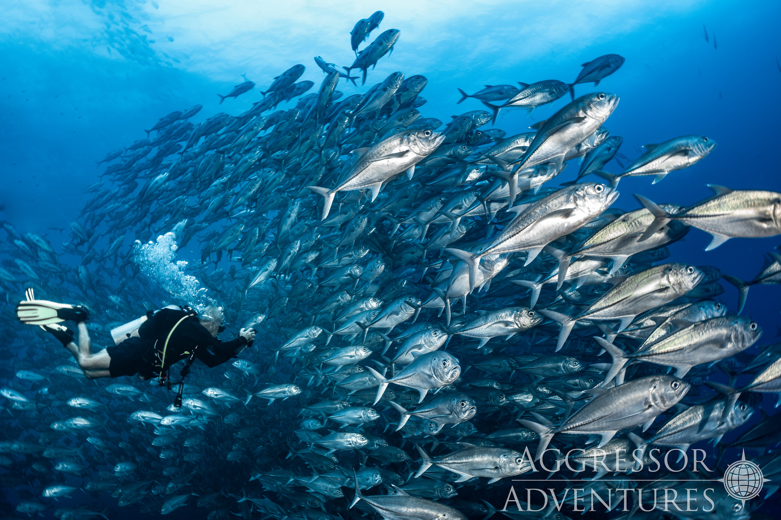 Dive Costa Rica & Cocos Island aboard the Cocos Island Aggressor
