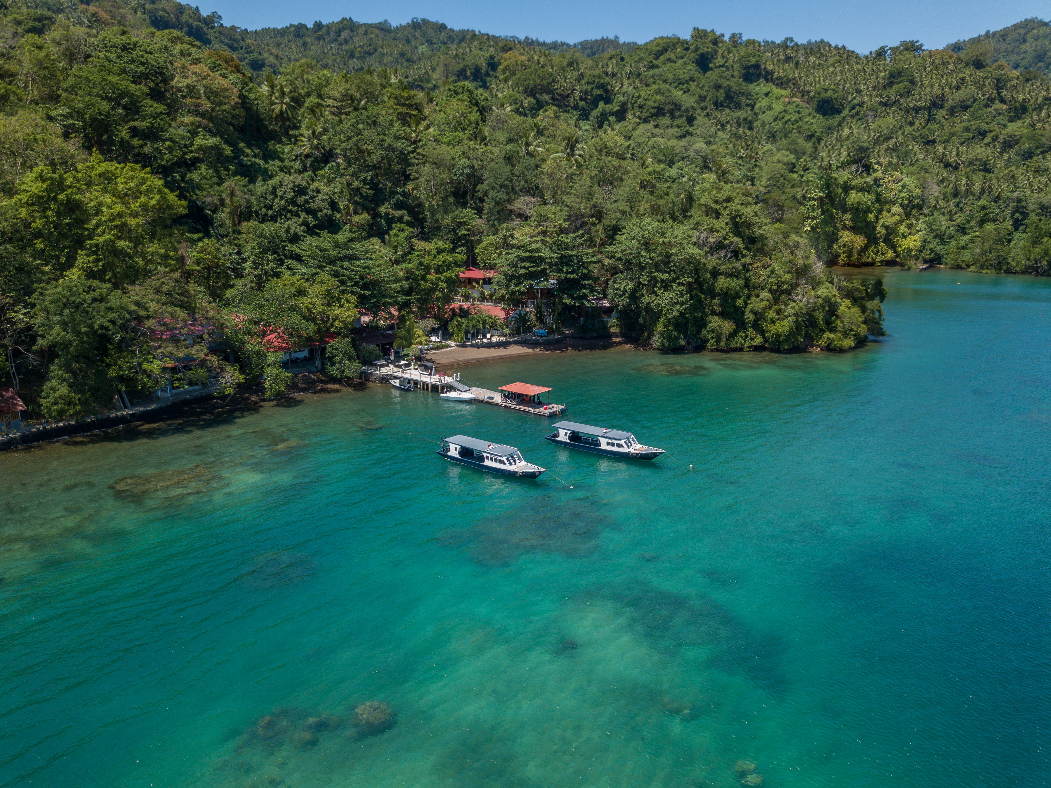 Discover Lembeh’s Allure