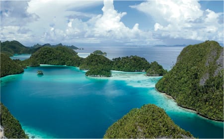 Dive North Sulawesi & Tomini Bay  aboard the Arenui