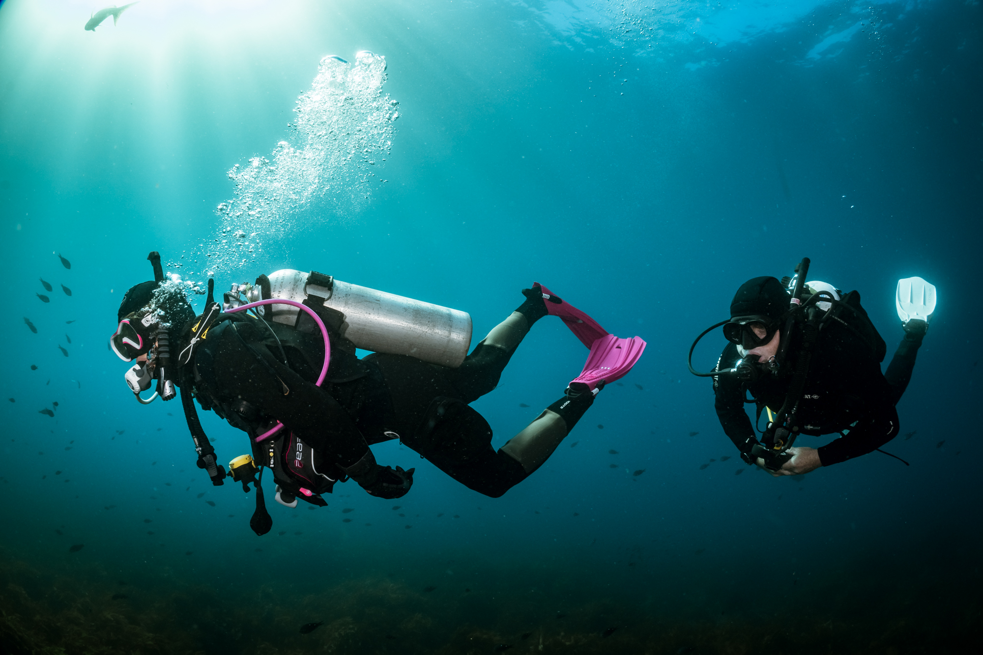 IDC Staff Instructor Experience