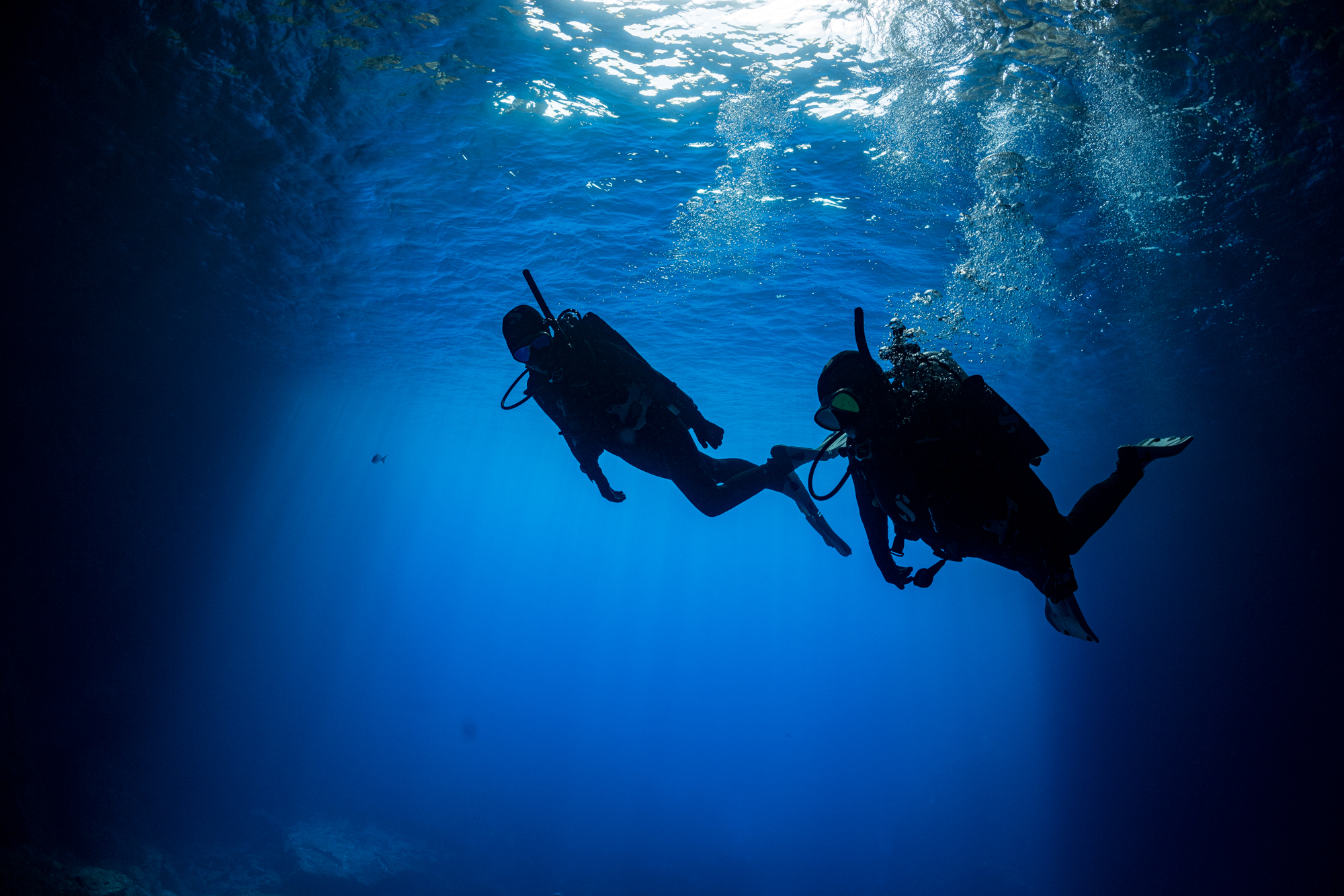 IDC Staff Instructor