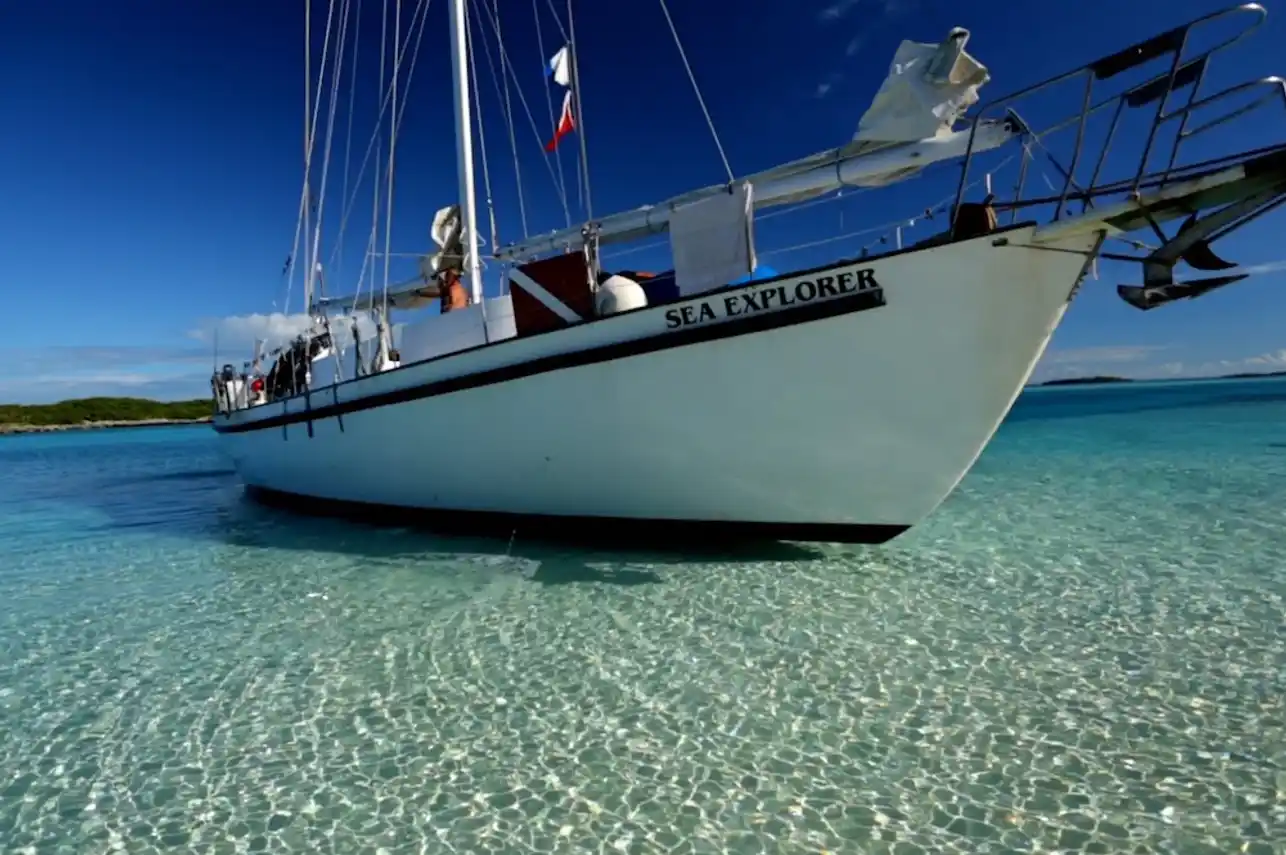 BLACKBEARD'S liveaboard Bahamas- November 21 - 27, 2026