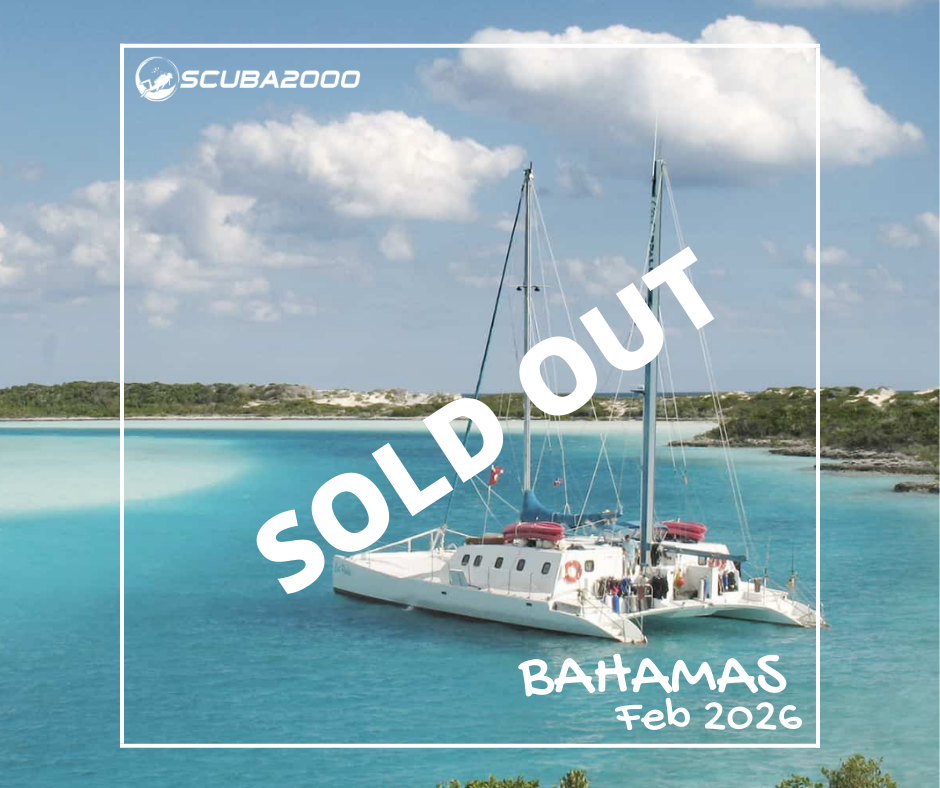 Bahamas -Feb 2026