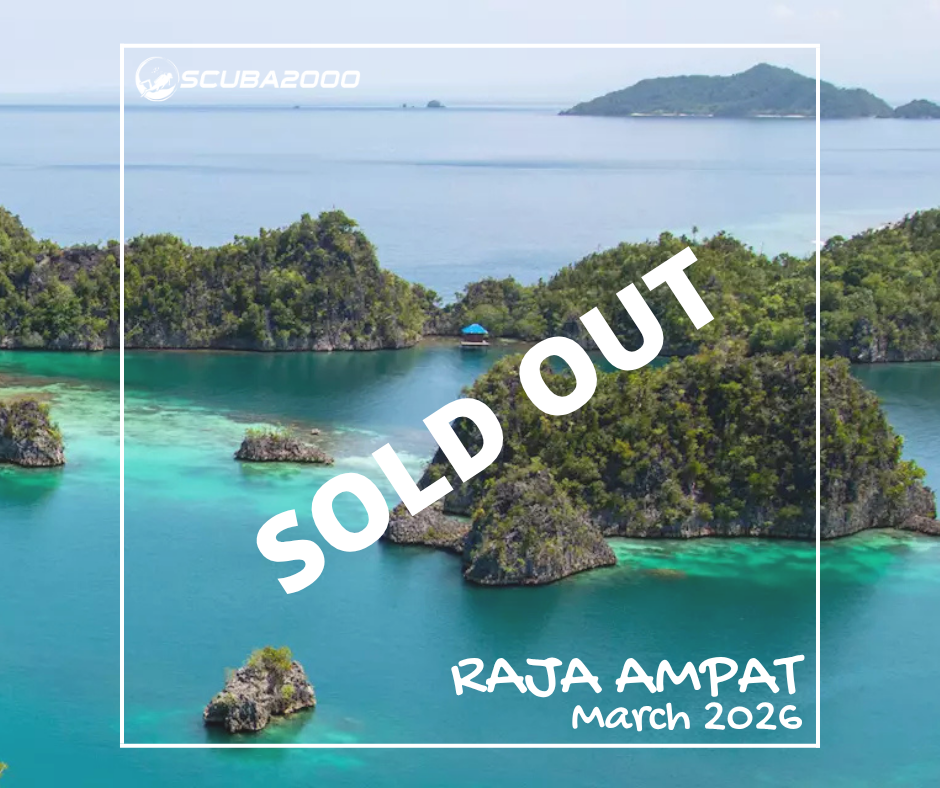 Raja Ampat Dive Adventure – Malaillo Liveaboard
