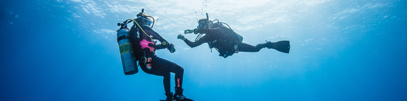 Divers exploring clear blue water