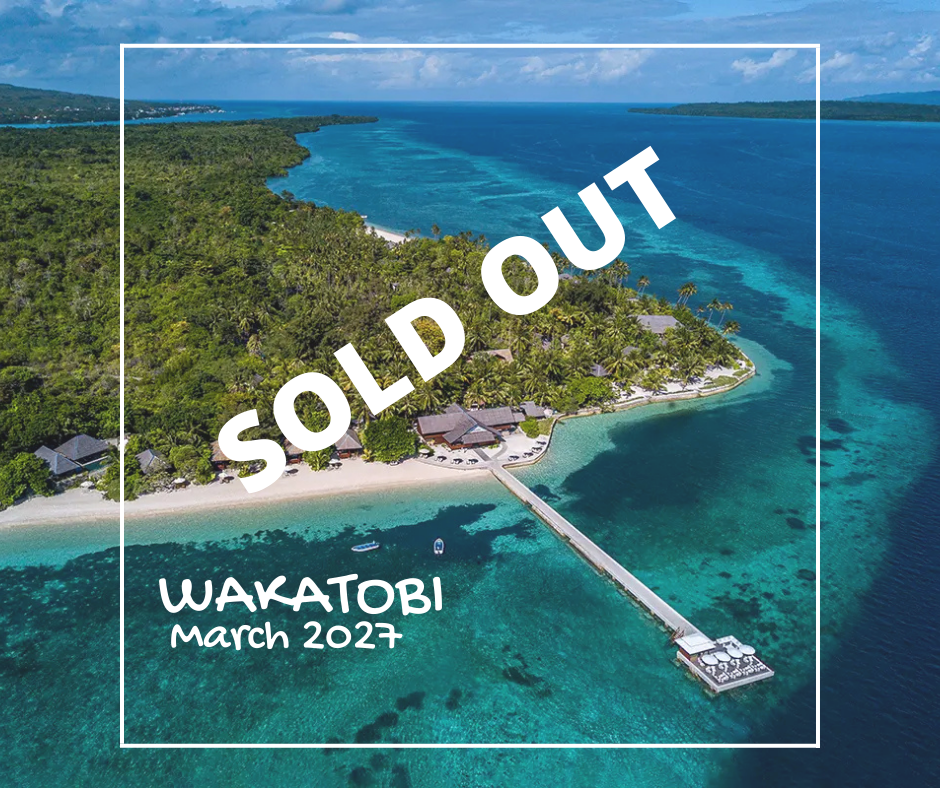 Wakatobi Indonesia - March 2027