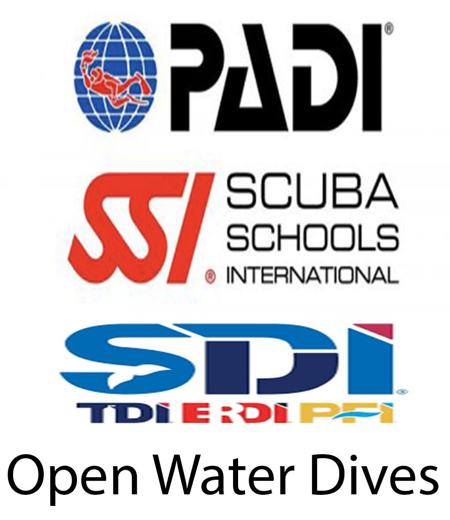 PADI/SSI/SDI Open Water Certification Dives- Finish Here