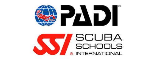 PADI/SSI Open Water Certification Dives- Finish Here