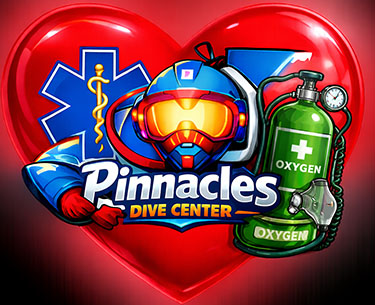 Emegency Oxygen Provider