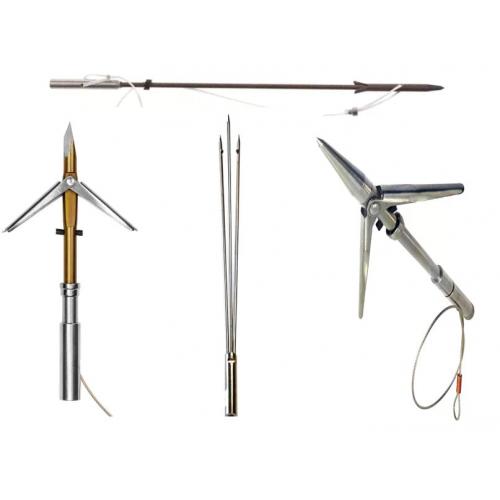 Collection Image