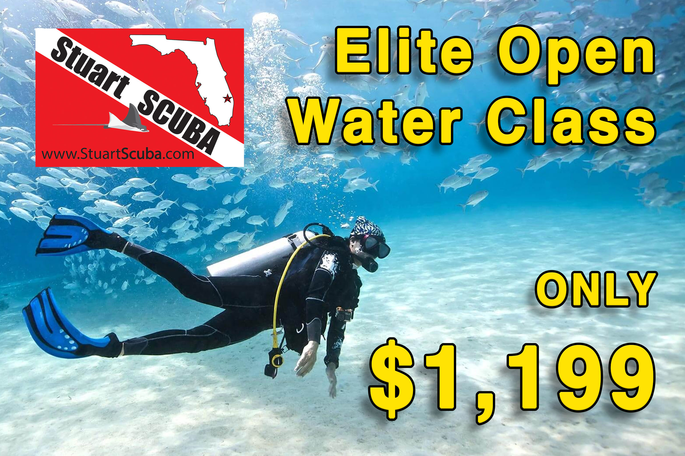 Elite Open Water Class