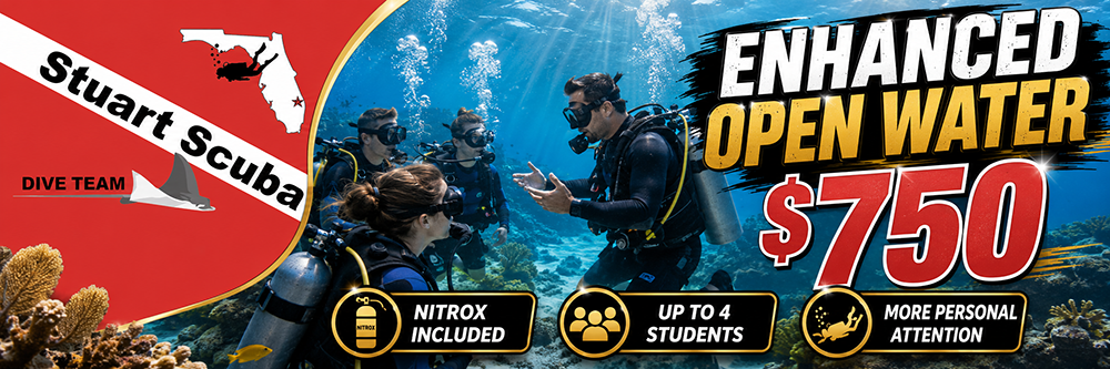 Enhanced Open Water Class - Small Group Experience