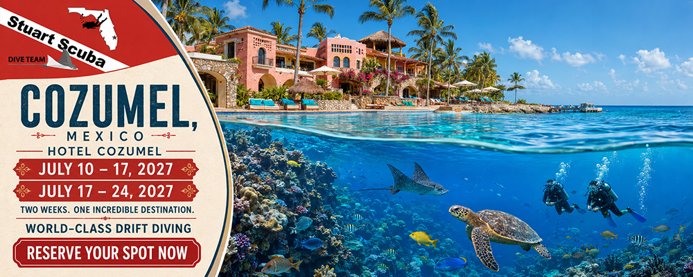 Hotel Cozumel, 10-17 July AND 17-24 July, 2027